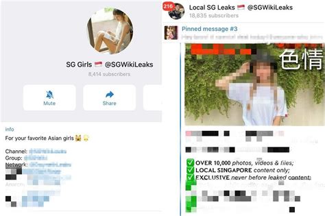 charizard singapore girl leaks|Telegram group circulating obscene images allegedly of .